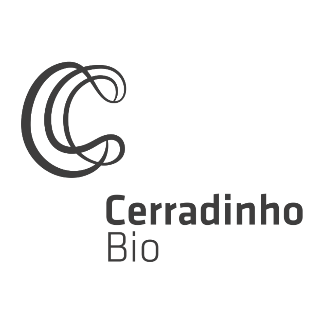 Novo Projeto - 2025-04-11T205244.161